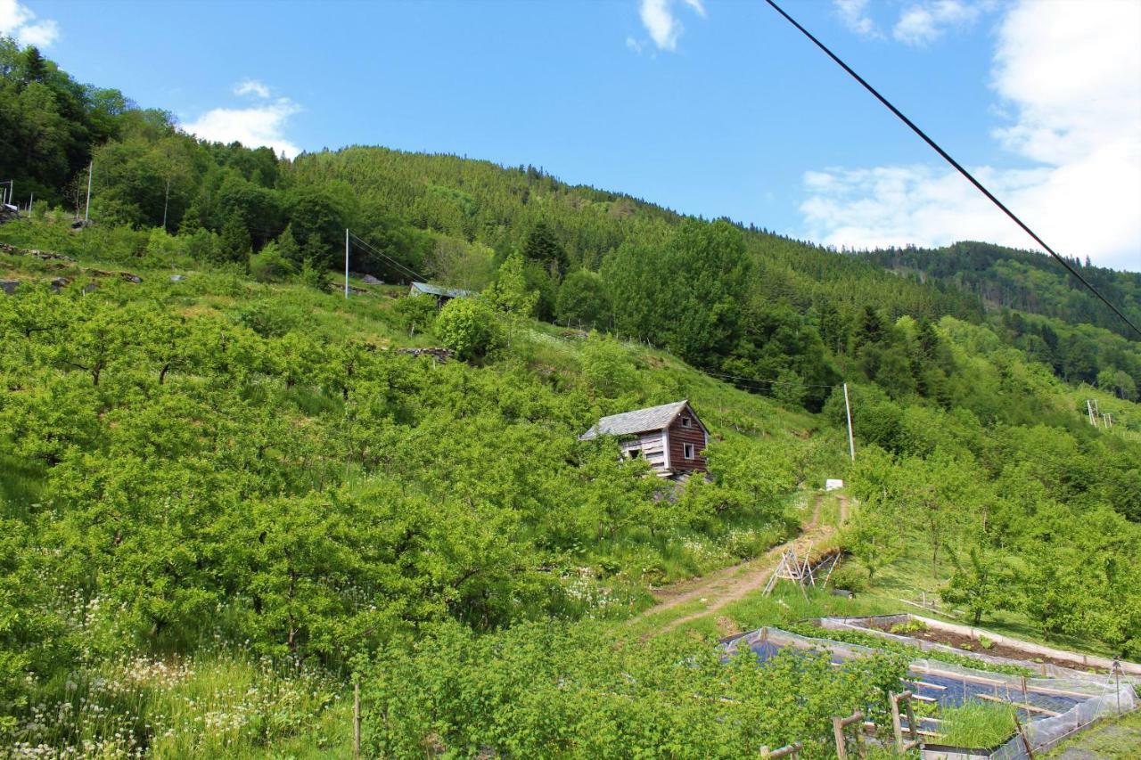 Вилла Fjord House Grimo Экстерьер фото