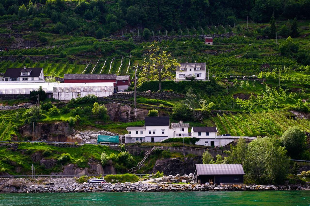 Вилла Fjord House Grimo Экстерьер фото